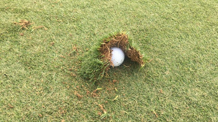 divot trong golf