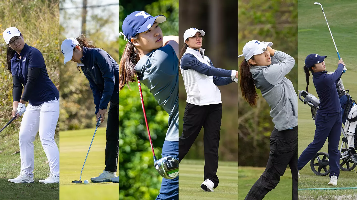 Giải Mã Sức Hút Sân Golf: Vì Sao Golf Không Chỉ Là Thể Thao?