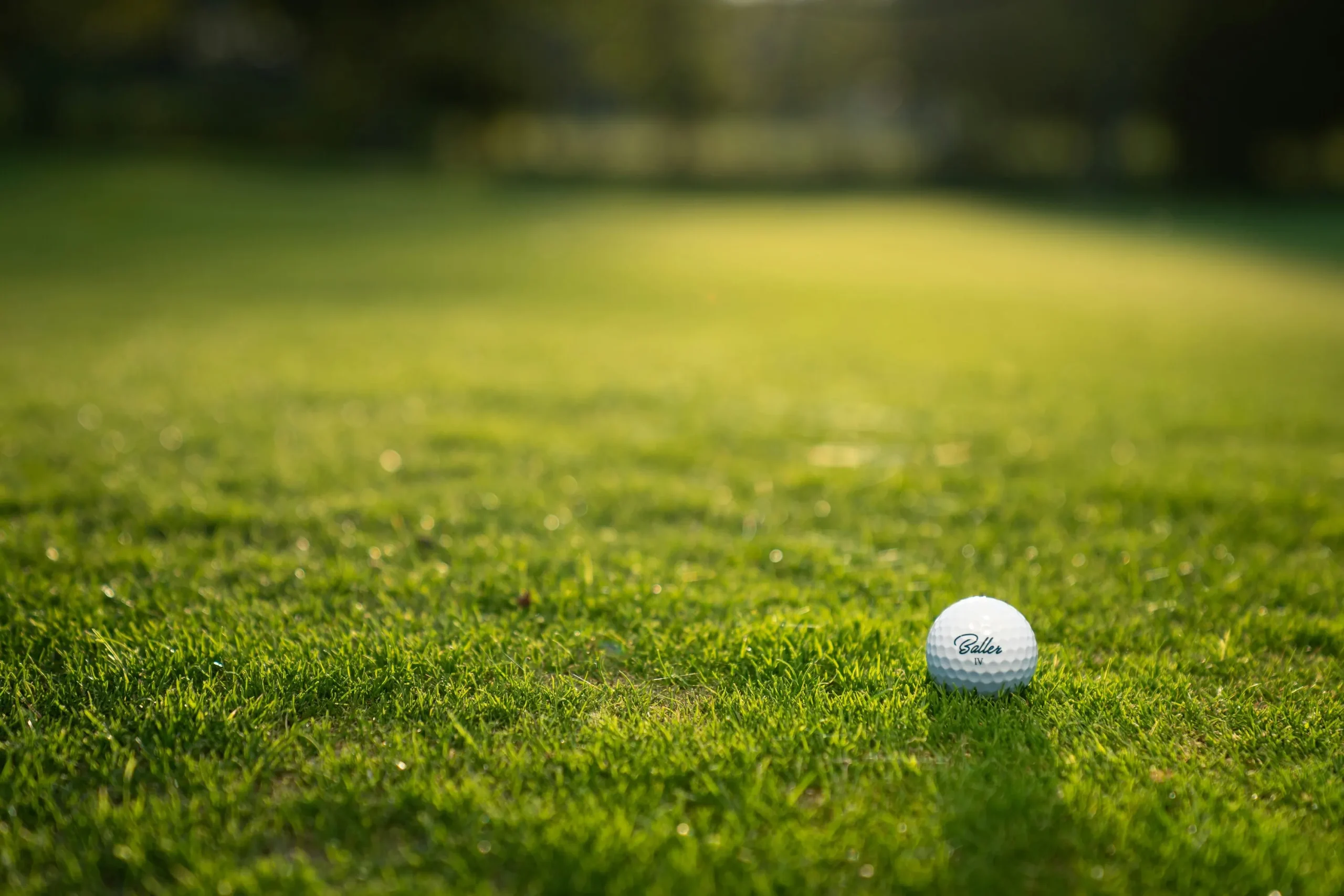 Giải Mã Sức Hút Sân Golf: Vì Sao Golf Không Chỉ Là Thể Thao?