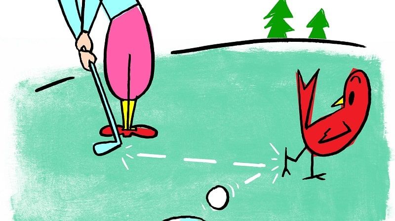 Golf 101: Từ A-Z Cho Người Mới Bắt Đầu Chinh Phục Sân Golf