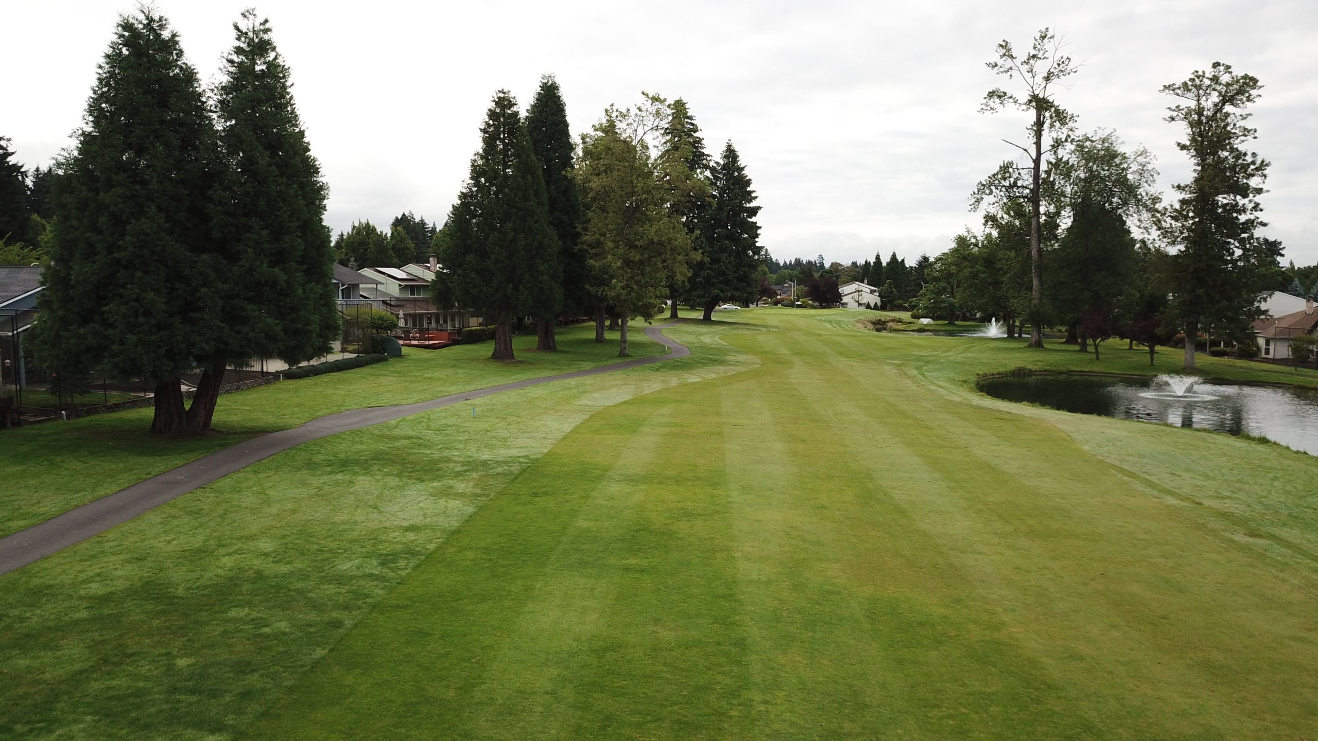 Kỹ Thuật Đặt Mặt Gậy Golf: Bí Quyết Tạo Nên Đường Bóng Hoàn Hảo