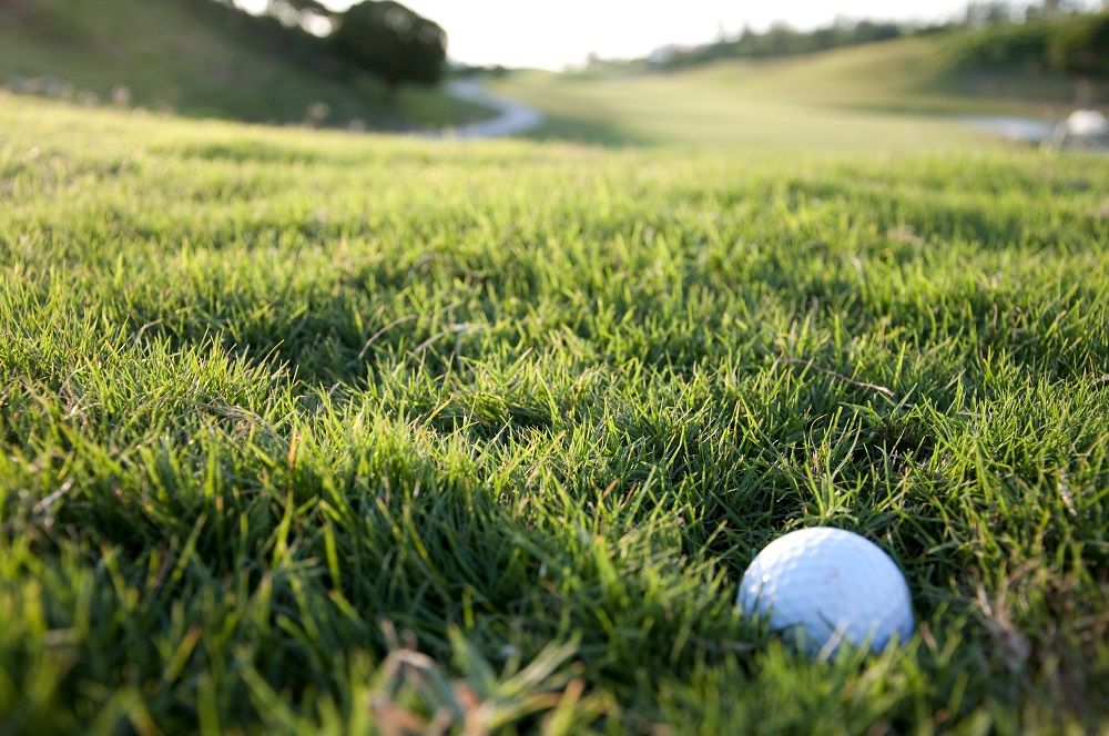 Golf 101: Từ A-Z Cho Người Mới Bắt Đầu Chinh Phục Sân Golf