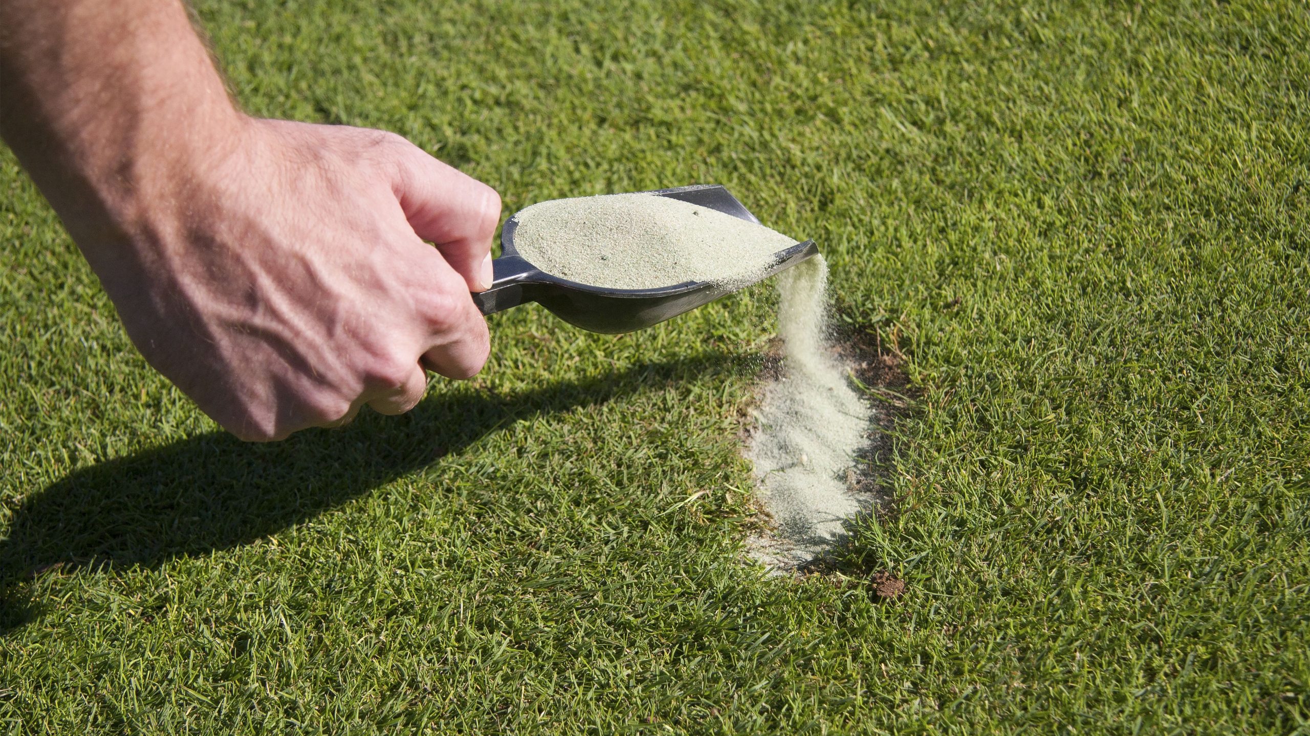 Lịch Sự Trên Sân Golf: Những Quy Tắc Ứng Xử Golfer Cần Biết