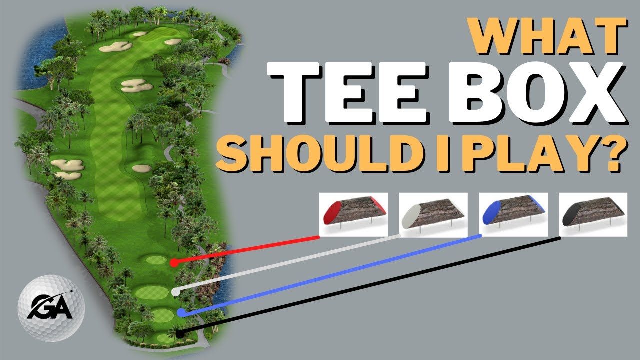 Golf 101: Từ A-Z Cho Người Mới Bắt Đầu Chinh Phục Sân Golf