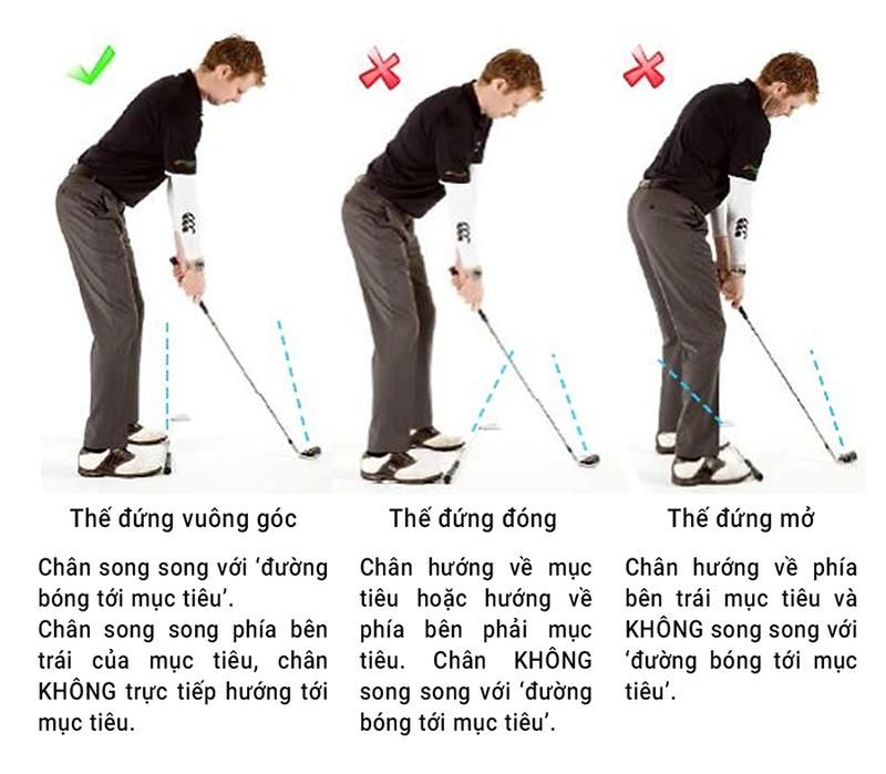 Swing Golf Cho Người Mới: Hướng Dẫn Từng Bước Để Có Cú Swing Hoàn Hảo
