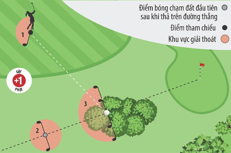 Luật Golf: Xử Lý Bóng Không Đánh Được (Rule 19) Và Các Quyền Giải Thoát Chi Tiết
